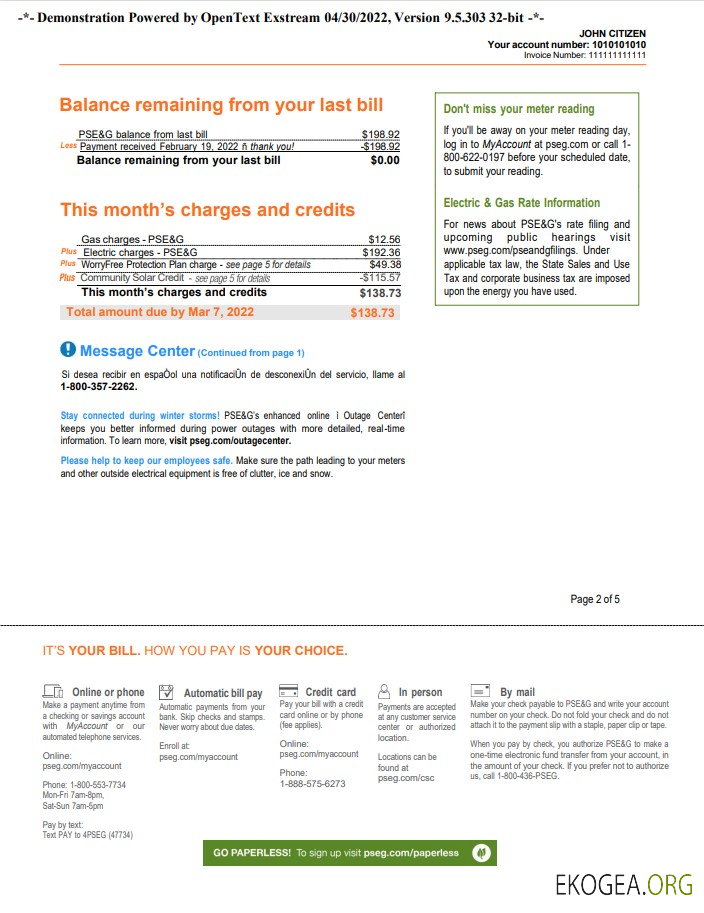 USA New York PSEG utility bill, Word and PDF template, 5 pages 2